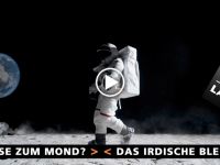 Short clip w-lagerbox.ch | Moondance